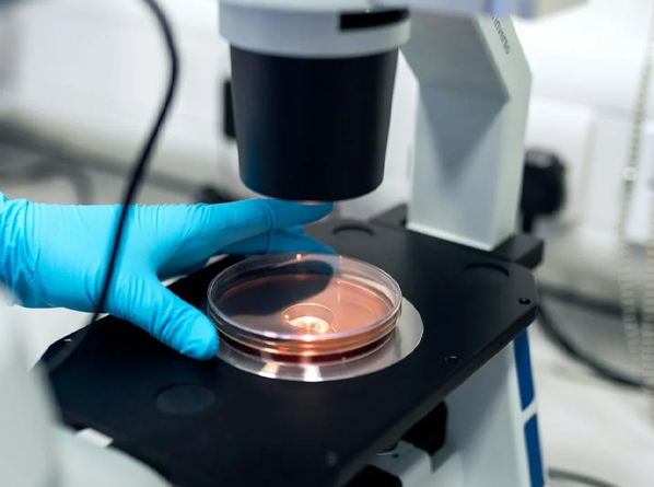 CASI醫(yī)療網(wǎng)站