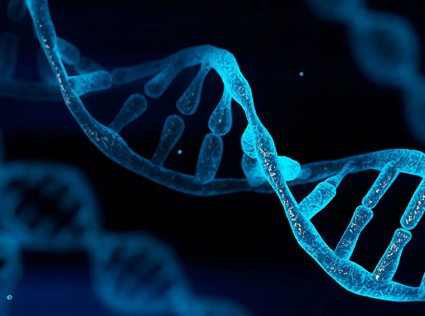 北大醫(yī)療集團(tuán)