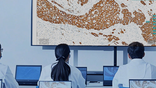 夜貓網絡簽約山東WIN醫(yī)學科技公司2026官網升級開發(fā)